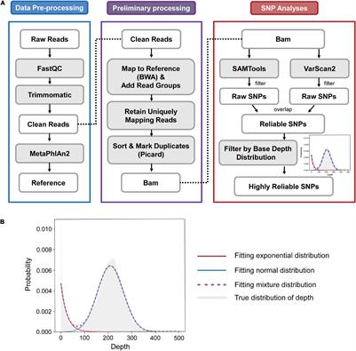 Towards Strain-Level Complexity: Sequencing Depth Required for Comprehensive Single-Nucleotide Polymorphism Analysis of the Human Gut Microbiome